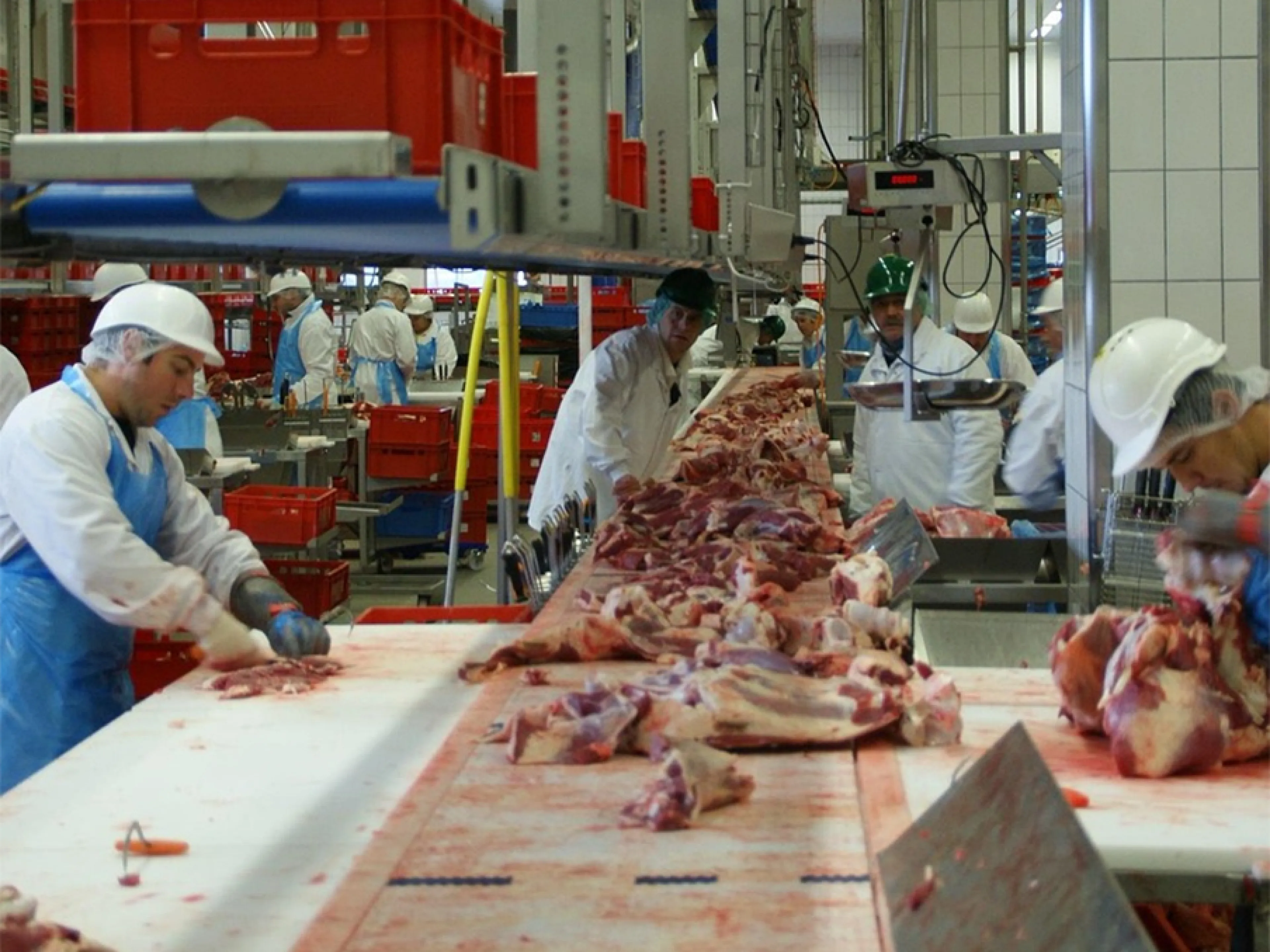 Die BGN unterstützt auch kleine Betriebe beim Einstieg in den Arbeitsschutz