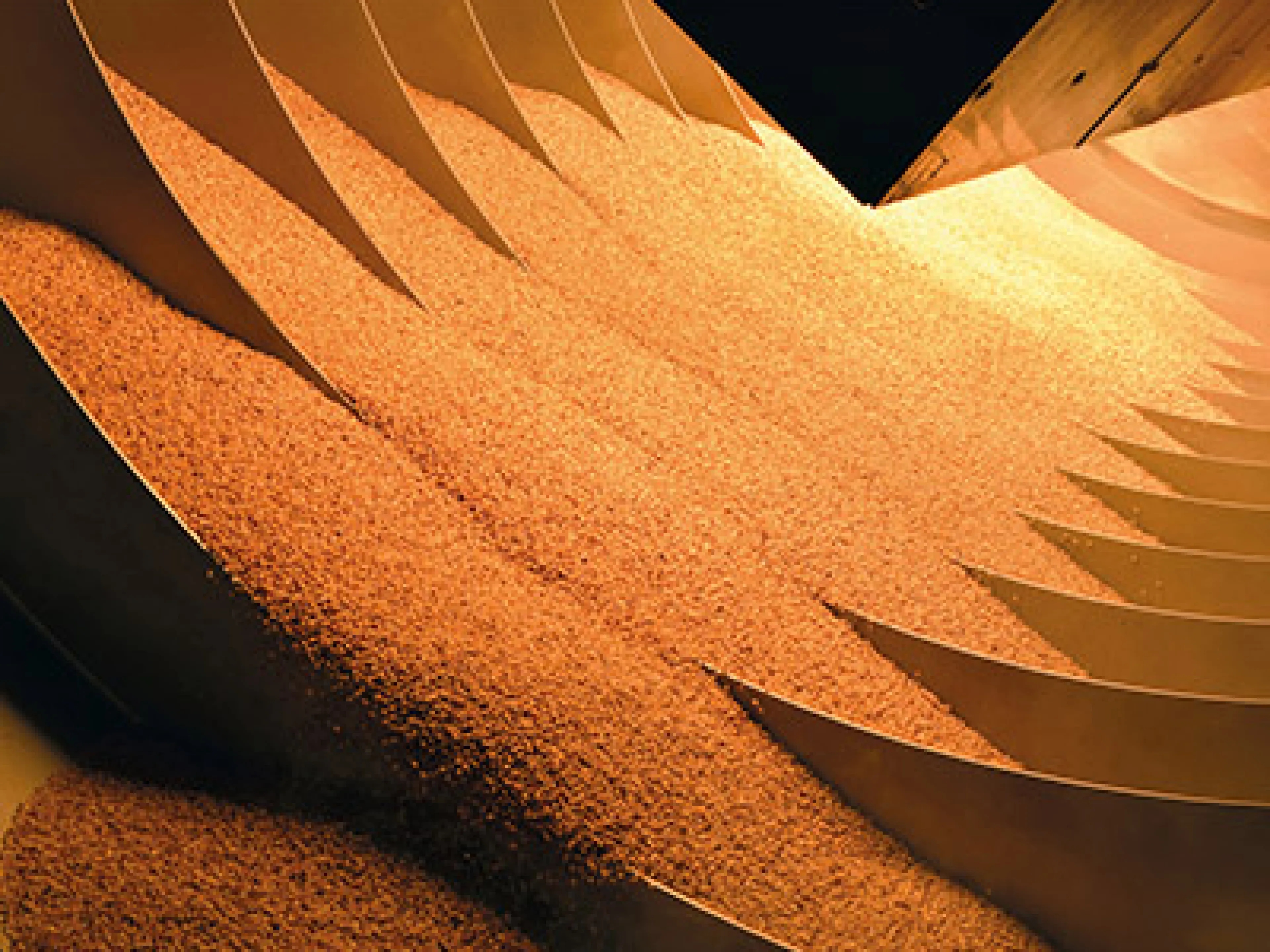 Sesam im Infrarotdrehrohr